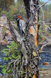 Boreal painting Dead Jackpine