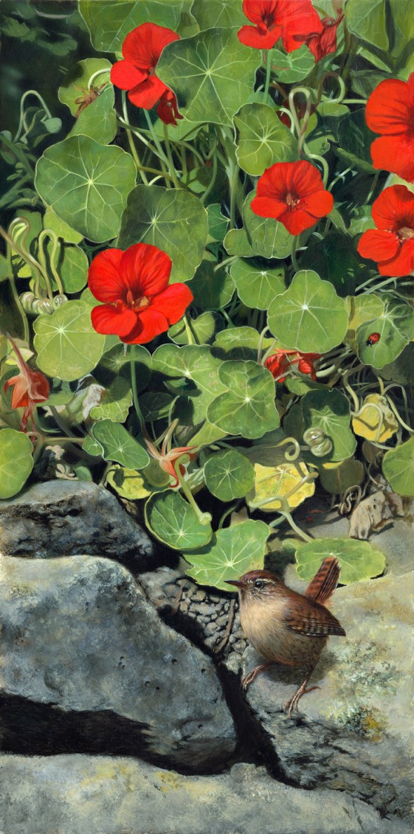 Rock-Garden