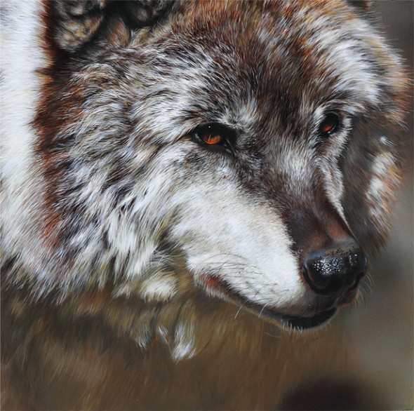 Lupa - She Wolf