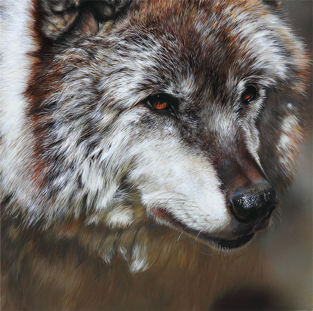 Lupa - She Wolf